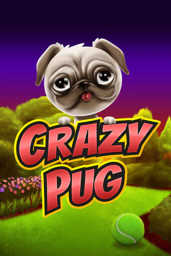 Crazy Pug бесплатная онлайн игра от лучшего сайта Гранд Казино Казахстан