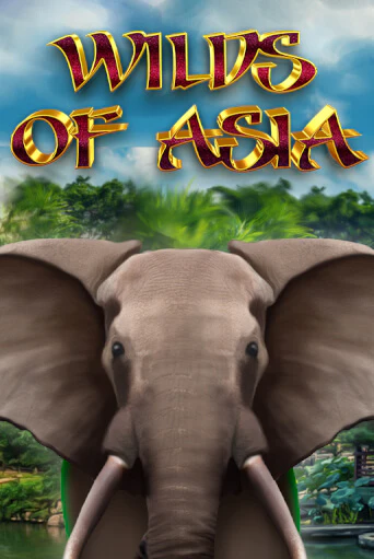 Wilds of Asia бесплатная онлайн игра от лучшего сайта Гранд Казино Казахстан