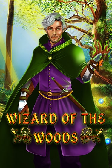 Wizard of the Woods бесплатная онлайн игра от лучшего сайта Гранд Казино Казахстан